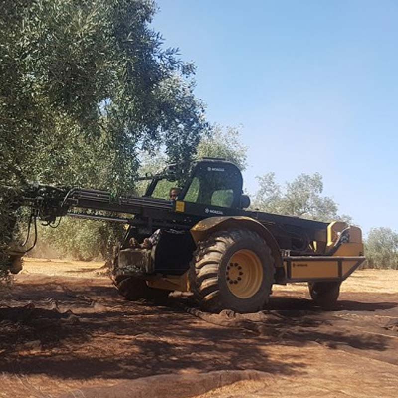 ماكينة قطف الزيتون BM300