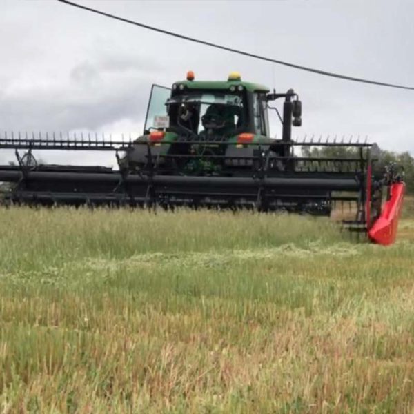 hilerador-sw Hilerador SW