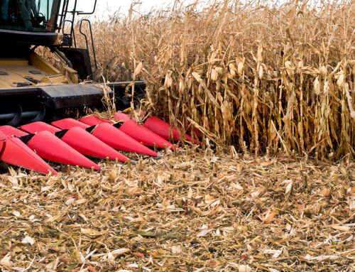 What is the difference between a row crop header and a corn head?
