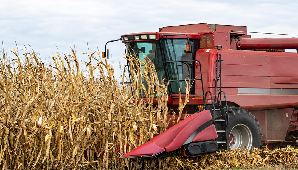 What is the difference between a row crop header and a corn head?