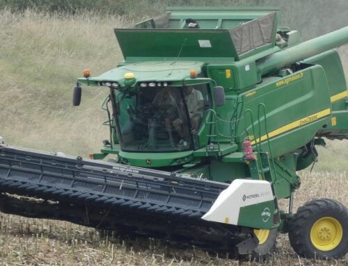 Les secrets de la moisson des tournesols : découvrez l’efficacité d’un coupe pour tournesol spécialisé