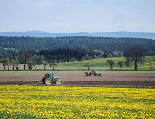 What Header Do You Use for Sunflowers?