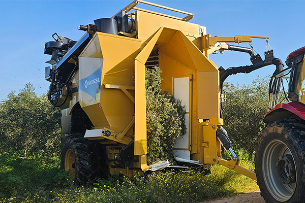 High Density Olive Harvester VS+